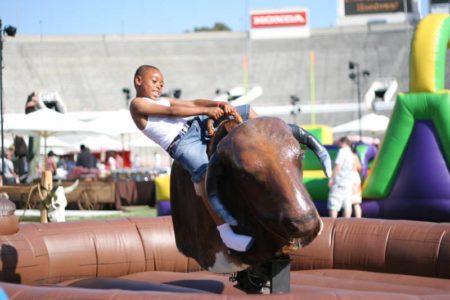 Mechanical Bull (Various Models)